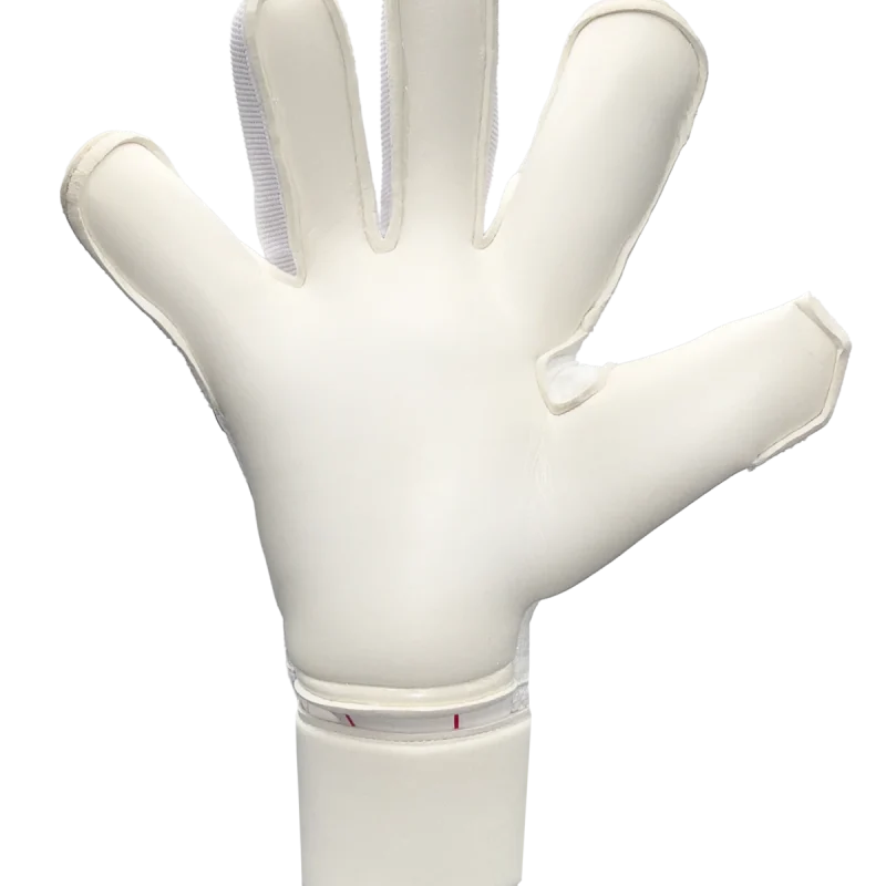 REGEN_JB_SIGNATURE_PALM_02_1200x